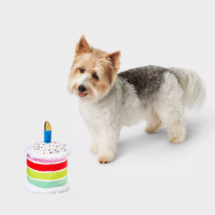Birthday Cake Shaped Plush Dog Fetch Toy